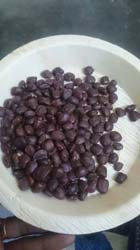 TAMARIND SEEDS